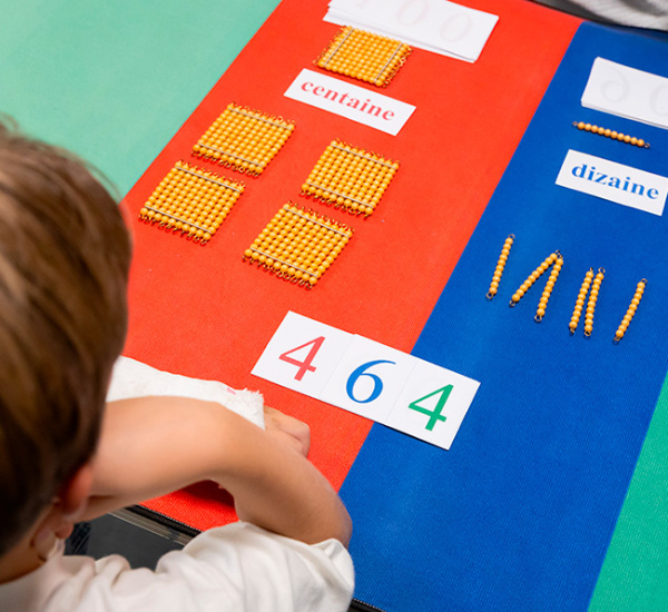 MONTESSORI en orthophonie : Module grammaire