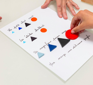 MONTESSORI en orthophonie : Module langages (langage oral et entrée dans le langage écrit)